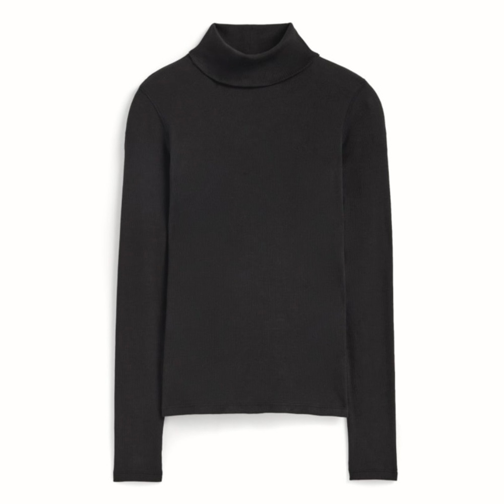 Everlane Pima Cotton Rib Turtleneck Long Sleeve Tee Top